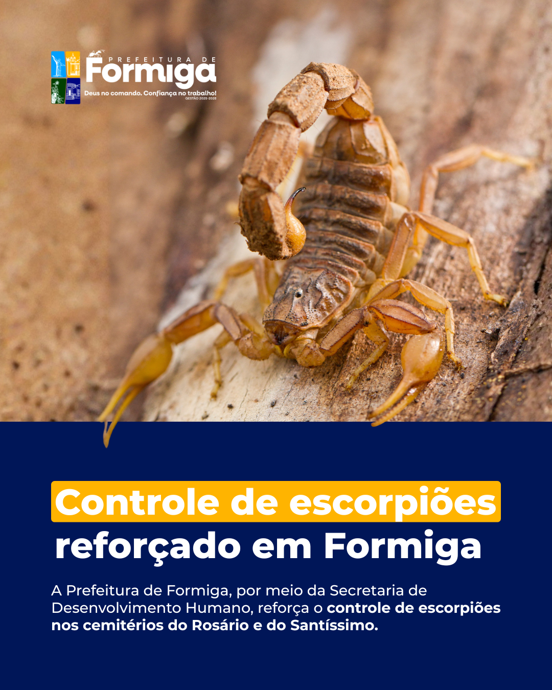 Controle de escorpiões