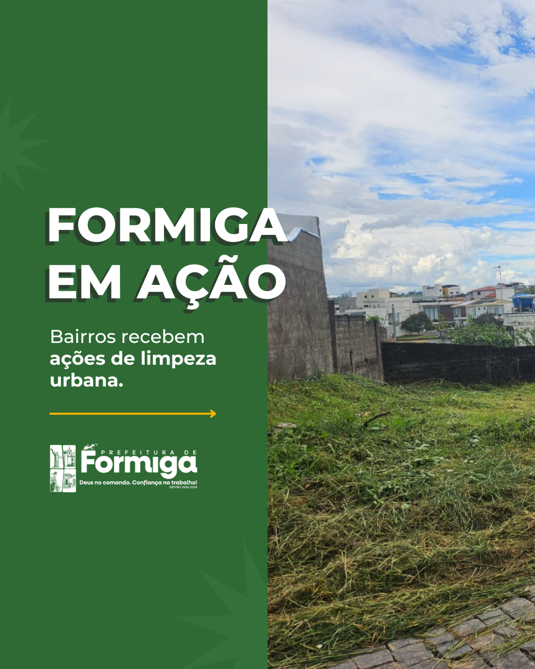 Formiga em ação