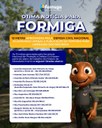 Formiga tem metas de restabelecimento aprovadas pela Defesa Civil Nacional