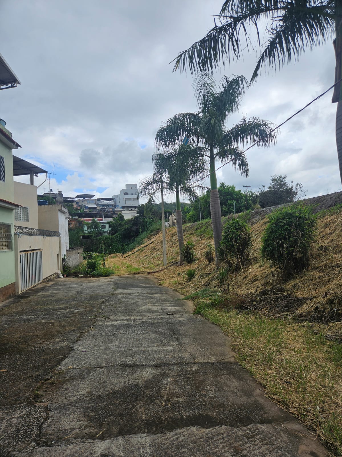 Limpeza urbana avança em diferentes pontos da cidade