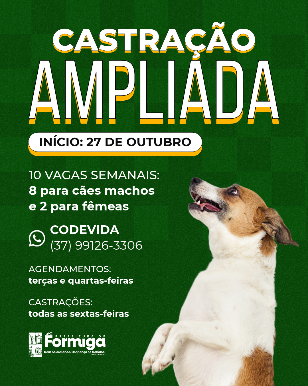 CASTRA8783O_AMPLIADA.png