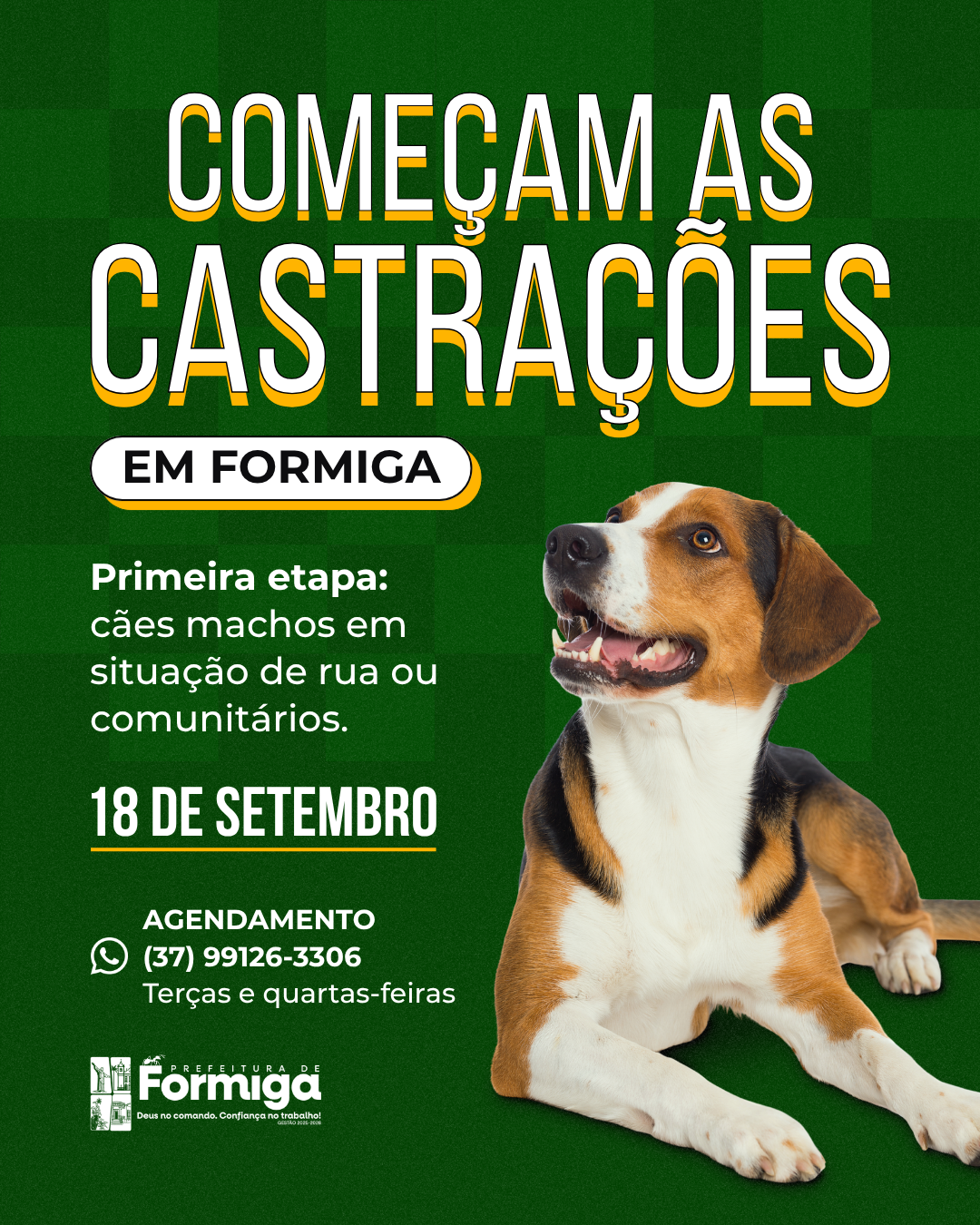 CASTRA8783O.png