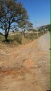 Limpeza atrás do Fórum 1.jpeg