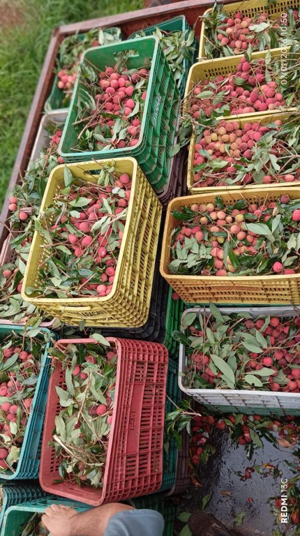 WhatsApp Image 2026-01-29 at 14.56.24.jpeg