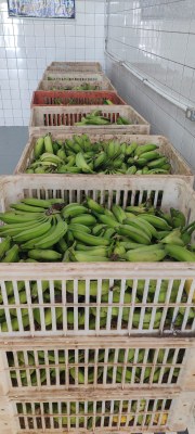 WhatsApp Image 2026-01-29 at 14.56.25 (1).jpeg