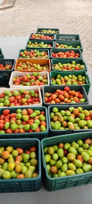 WhatsApp Image 2026-01-29 at 14.56.25.jpeg