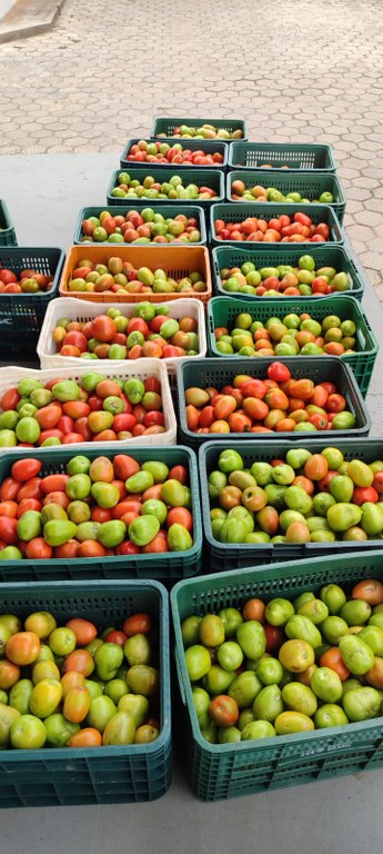 WhatsApp Image 2026-01-29 at 14.56.25.jpeg