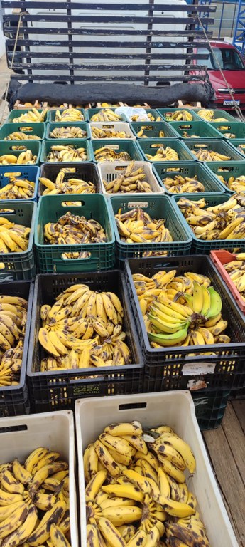 WhatsApp Image 2026-01-29 at 14.56.26 (1).jpeg