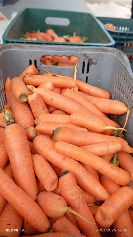 WhatsApp Image 2026-01-29 at 14.59.03 (1).jpeg