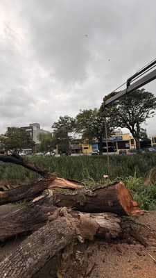 WhatsApp Image 2026-02-25 at 10.30.57 (2).jpeg