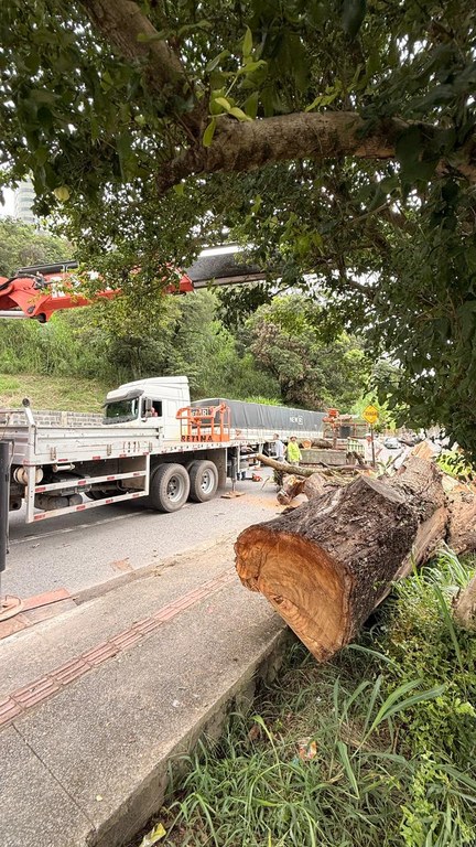 WhatsApp Image 2026-02-25 at 10.30.57.jpeg