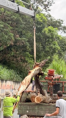 WhatsApp Image 2026-02-25 at 10.30.59.jpeg