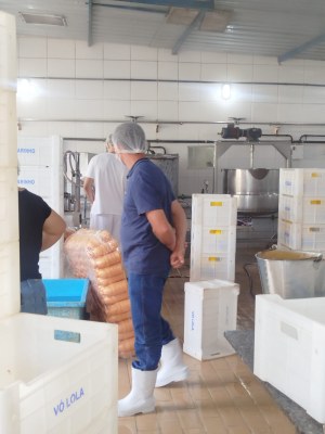 WhatsApp Image 2026-03-10 at 21.46.32 (2).jpeg