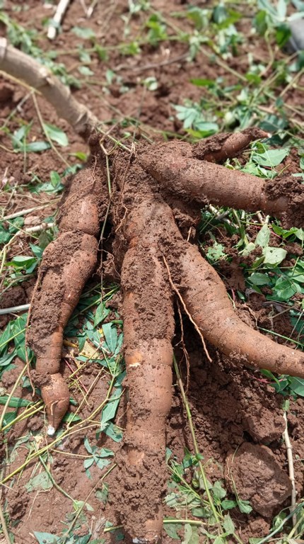 WhatsApp Image 2026-04-06 at 11.41.35.jpeg