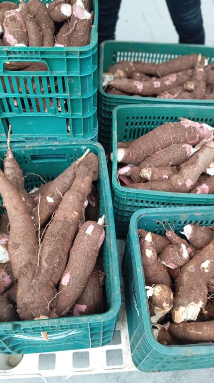 WhatsApp Image 2026-04-06 at 11.41.36.jpeg