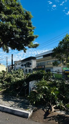 WhatsApp Image 2026-04-09 at 10.10.14 (2).jpeg